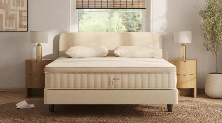 Birch Luxe Birch