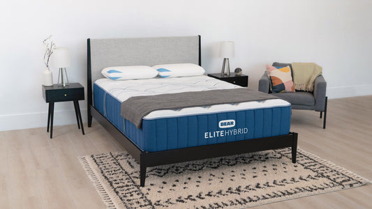 Bear Elite Hybrid