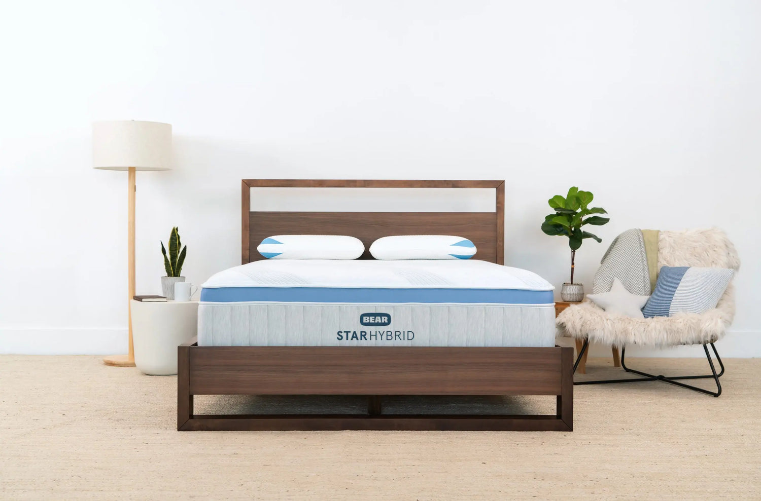 Bear Star Hybrid Bear